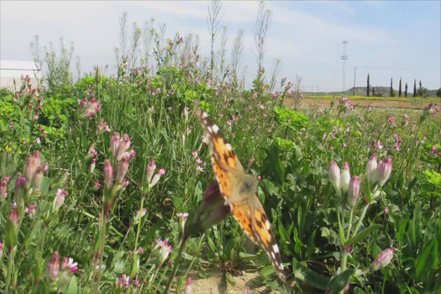 Slide 2
