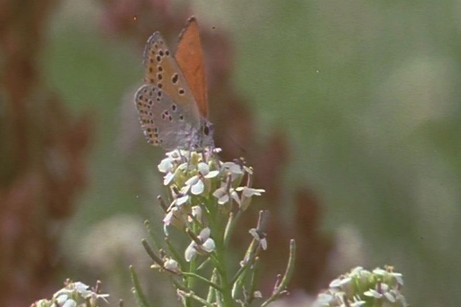 Slide 6