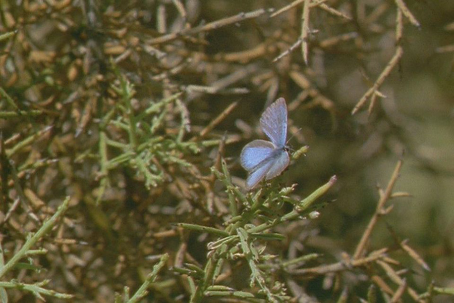Slide 8