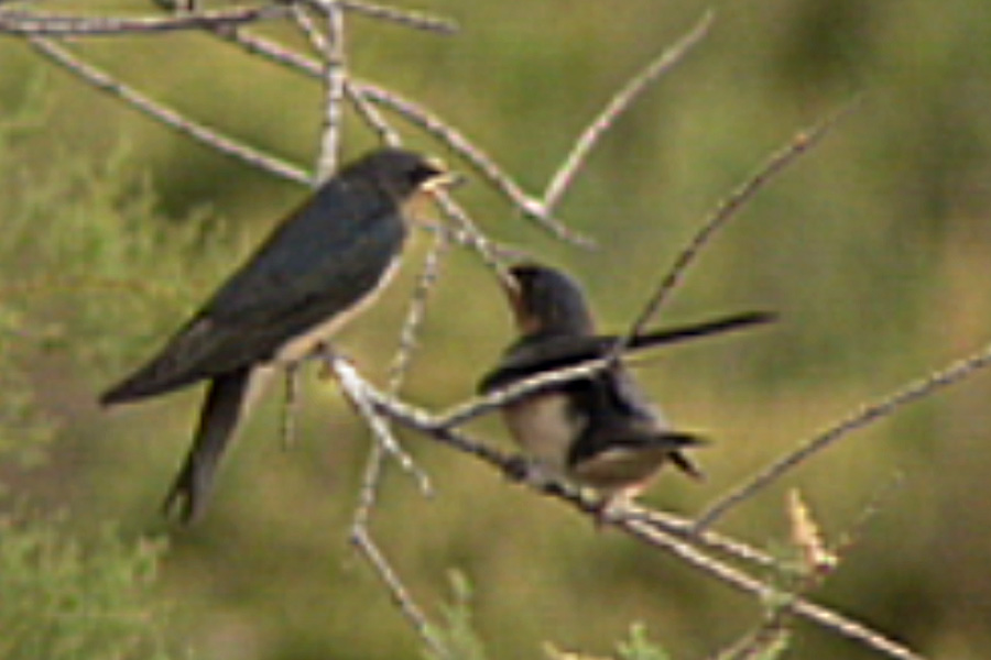 Slide 10